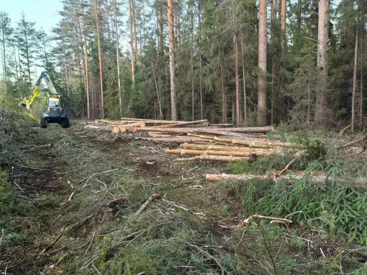 Дорогу на Бумкомбинат в Кирово-Чепецком районе отремонтируют к июню 2027 года