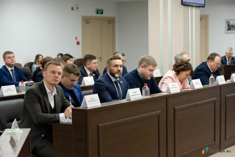 В Думе Кирова сменились главы трёх комиссий