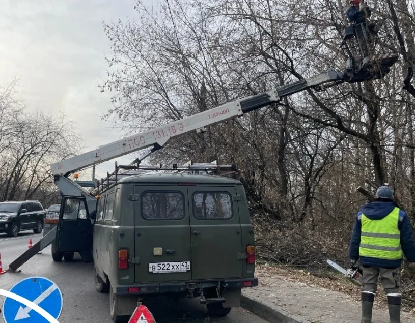 У Старого моста в Кирове уберут аварийные деревья