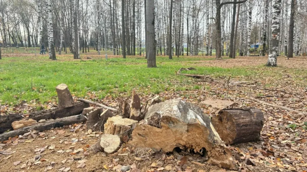 Народный фронт нашёл недоделки в Парке Победы в Кирове
