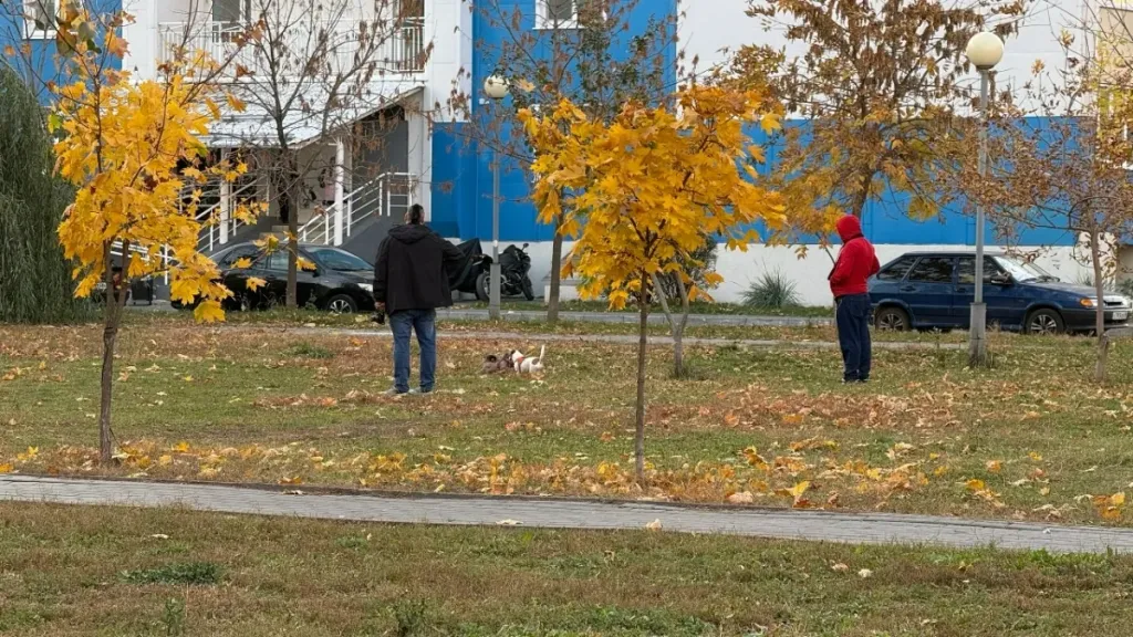В Нолинске дворник детсада умер после падения во время уборки