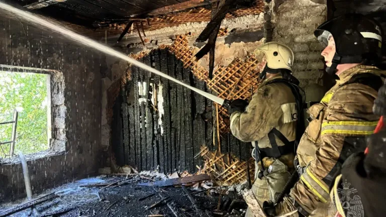 В Сосновке пожар уничтожил 18 сараев, дома удалось отстоять
