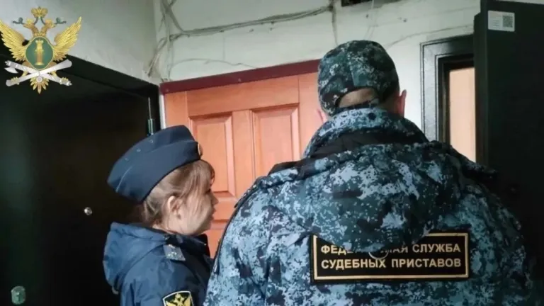 Жительница Нагорского района получила полгода колонии за долг по алиментам